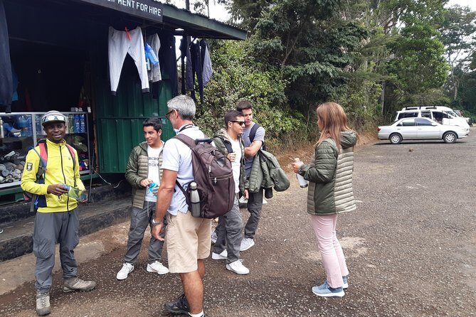 Mountain Kilimanjaro Day Hike - Head Back Down to the Main Gate: The Second Half Strategy