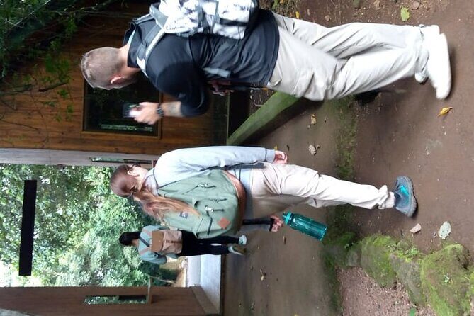 Mountain Kilimanjaro Day Hike - Price and Value: Is $267 a Fair Deal for This One-Day Kilimanjaro Taste?