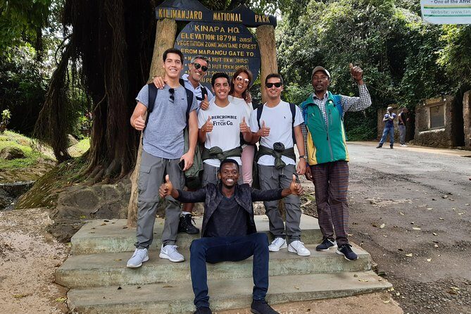 Mountain Kilimanjaro Day Hike - The Rainforest Climb to Mandara Hut: Wildlife, Birds, and Steady Feet