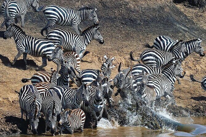 Multi-Day Camping Safari Experience in Arusha - The Safari Vehicle, Meals, and Comfort: What Inclusion Means in Real Life
