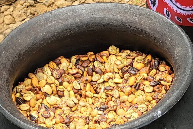 Organic Coffee Tour and Local Food Experience in Arusha - Treehouse Tasting and Nature Chances Near Mt Meru