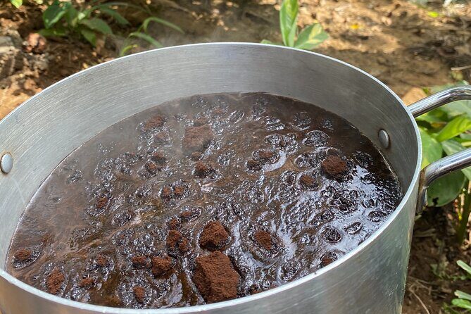 Organic Coffee Tour and Local Food Experience in Arusha - Meeting Point, Timing, and How to Prepare
