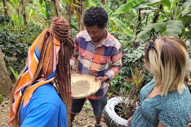 Organic Coffee Tour and Local Food Experience in Arusha - Should You Book This Organic Coffee and Local Food Tour?