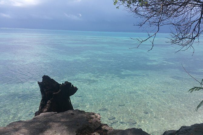 Prison Island Half-Day Tour from Zanzibar - Crowds and timing: why arriving early helps