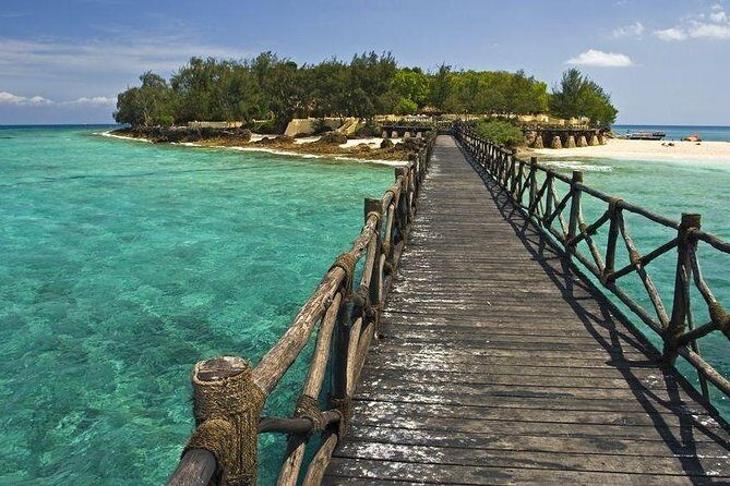 Prison Island Half-Day Tour from Zanzibar - Practical clothing and packing: what to bring for this island day
