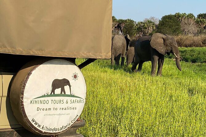 Private 3 Days 2 Nights Mikumi Adventures - Day 2: full-day game drive, picnic lunch, and Maasai Village culture