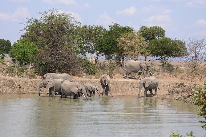 Private 3 Days 2 Nights Mikumi Adventures - Day 3: early breakfast and a straight run back to Dar es Salaam
