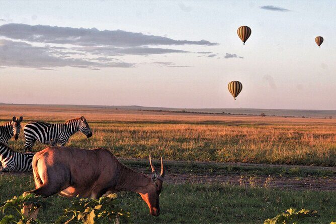 Private 4-Days Northern Circuit National Parks in Tanzania - Who This Private Northern Circuit Safari Suits Best