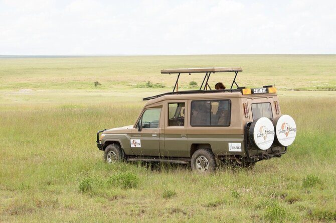 Private 6-Day Great Migration Ndutu Serengeti Safari Tour - Day 6 Lake Manyara: flamingos, primate woodlands, and lions in trees