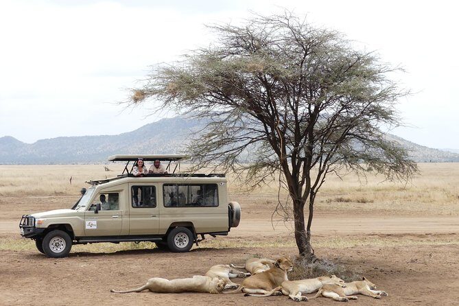 Private 6-Day Tarangire Manyara Crater and Serengeti with Mid-Range Lodges - How the Private Safari Really Works From Arusha