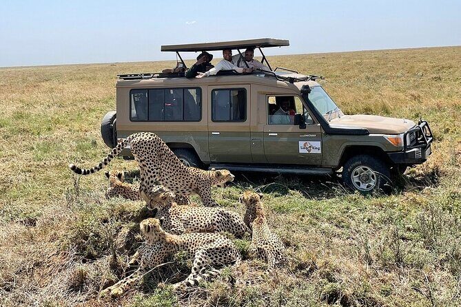 Private 6-Day Tarangire Manyara Crater and Serengeti with Mid-Range Lodges - Ngorongoro Crater Descent: Where the Rhino Story Gets Real