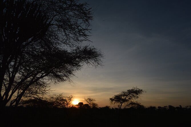 Private 7-Day Tanzania Camping Safari - Crater Floor Day: Big Five Chances and Ngoitoktok Spring