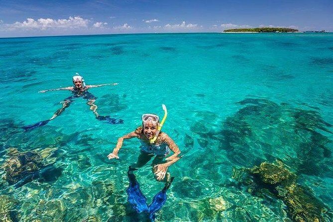 Private Dolphin Tour and Snorkeling at Mnemba Island reef - Mnemba Island Reef snorkeling: why this reef is on the Zanzibar shortlist
