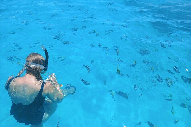 Private Dolphin Tour and Snorkeling at Mnemba Island reef - Transportation, timing, and what private usually changes