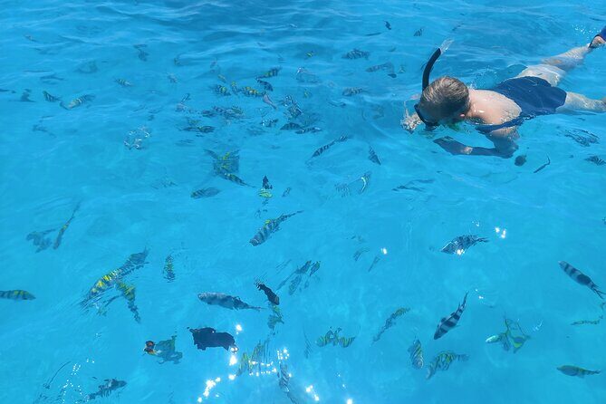 Private Dolphin Tour and Snorkeling at Mnemba Island reef - Which guides you might get: what good leadership looks like
