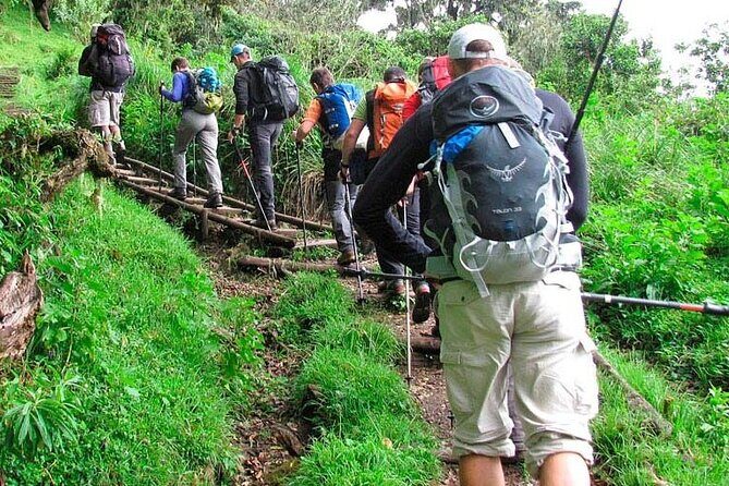 Private Full Day Hiking Experience to Marangu Route - Mandara Hut Break: Rest, Photos, and Adjusting to Mountain Weather