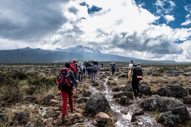 Private Full Day Hiking Experience to Marangu Route - The Descent Back to the Main Gate and the Easy Ride Home