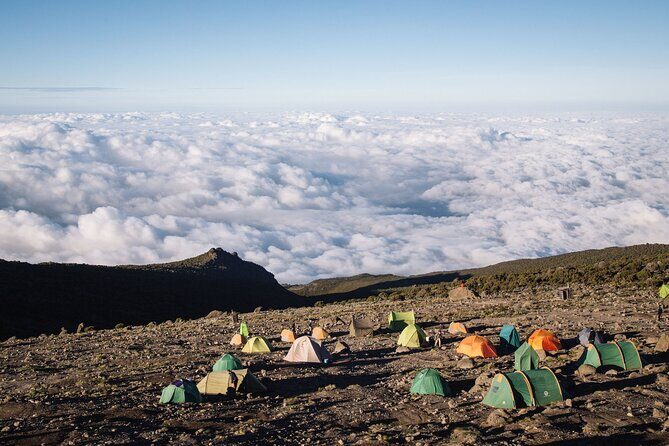 Private Full Day Hiking Experience to Marangu Route - Price and What the $260 Private Day Hike Really Buys You