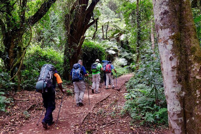 Private Full Day Hiking Experience to Marangu Route - Fitness Level: Moderate Means You’ll Want Real Control