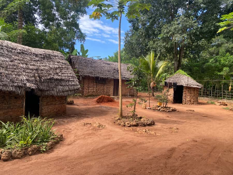 Private Full Day Trip Exploring Zanzibar Nature - Key Highlights Worth Prioritizing