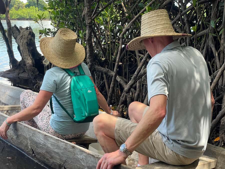 Private Full Day Trip Exploring Zanzibar Nature - Mangrove Swamp by Canoe: Quiet Water, Real Ecology