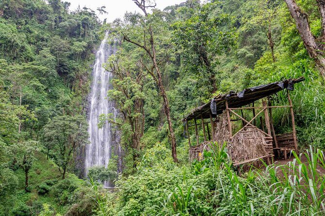 Private Full-Day Trip to Materuni Waterfalls - Village time: Chagga culture and coffee preparation