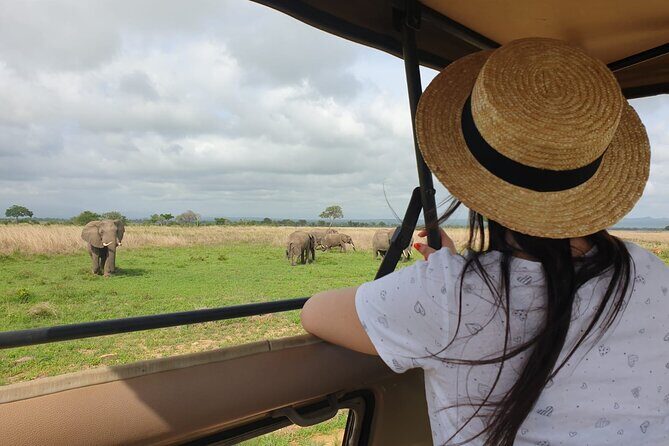 Private Full-Day Trip to Mikumi National Park from Dar es Salaam - Key things I’d circle before you book