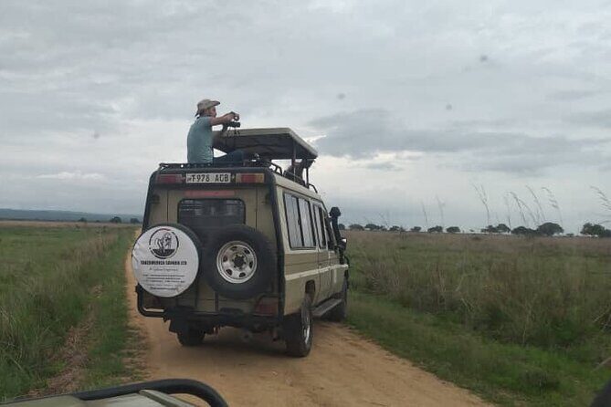 Private Full-Day Trip to Mikumi National Park from Dar es Salaam - What wildlife viewing feels like on this route (and what to watch for)