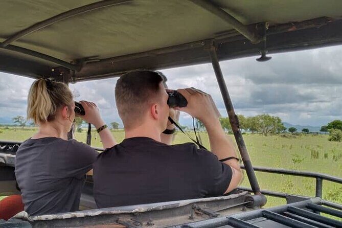 Private Full-Day Trip to Mikumi National Park from Dar es Salaam - Lunch and refreshments in Morogoro: a real reset point