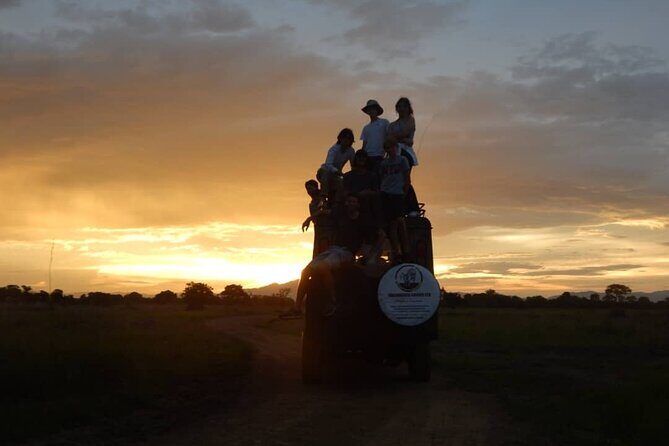 Private Full-Day Trip to Mikumi National Park from Dar es Salaam - The return to Dar es Salaam: leaving around 4:00 PM