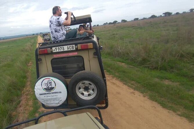 Private Full-Day Trip to Mikumi National Park from Dar es Salaam - The 4:00 AM pickup matters more than you think
