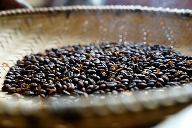 Private Meru Coffee Tour in Nkoaranga - Key things to know before you go