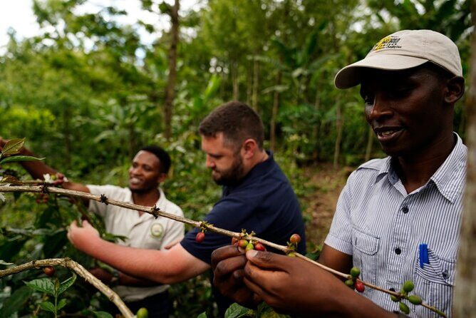 Private Meru Coffee Tour in Nkoaranga - Why this coffee tour feels different in Nkoaranga