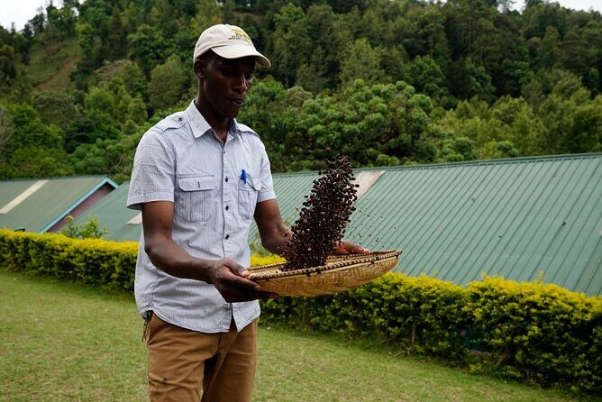 Private Meru Coffee Tour in Nkoaranga - How the community support works (and why it matters)