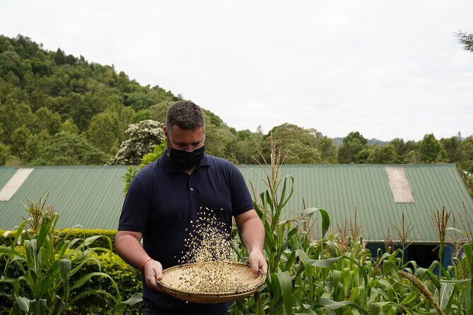 Private Meru Coffee Tour in Nkoaranga - Price and what you’re really paying for
