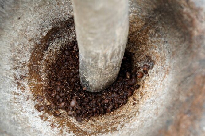 Private Meru Coffee Tour in Nkoaranga - Timing, weather, and how to prep