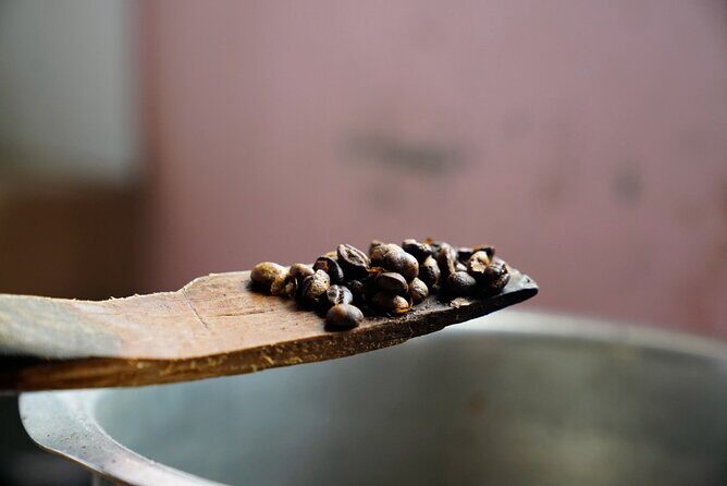 Private Meru Coffee Tour in Nkoaranga - Who should book this private Meru coffee tour