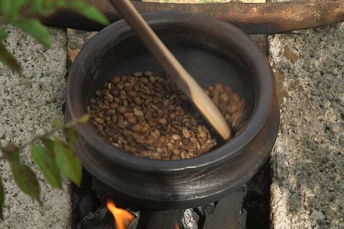 Private Meru Coffee Tour in Nkoaranga - Should you book the Private Meru Coffee Tour in Nkoaranga?