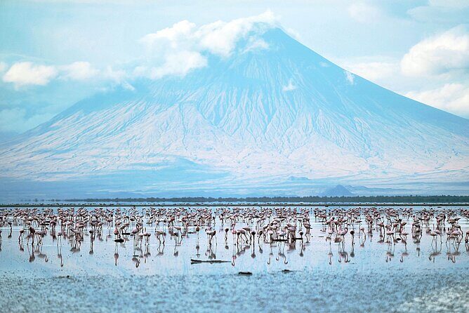 Private Multi day Safari tour in Tanzania - Serengeti: Sunrise First, Then Full-Day Game Drives for Migration Odds