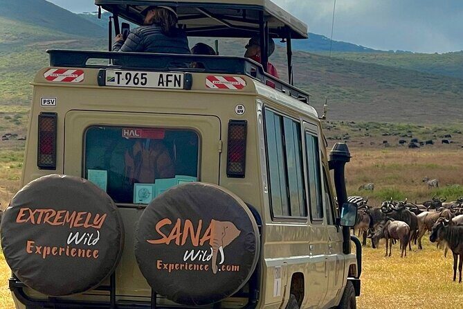 Private Multi Day Tour Tanzania Safari - Day 3: Ngorongoro Crater Descent and Big Five Probability