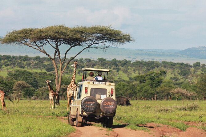 Private Multi Day Tour Tanzania Safari - Day 5: Another Serengeti Day (Because One Isn’t Always Enough)
