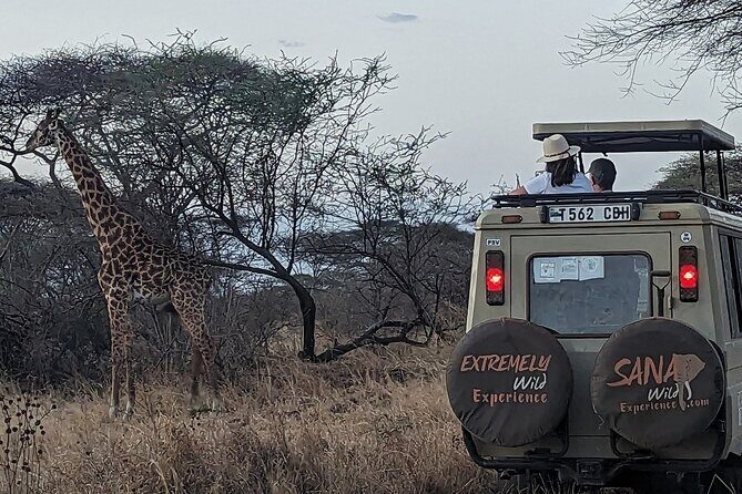 Private Multi Day Tour Tanzania Safari - Price and What You’re Really Paying For (Not Just “A Safari”)