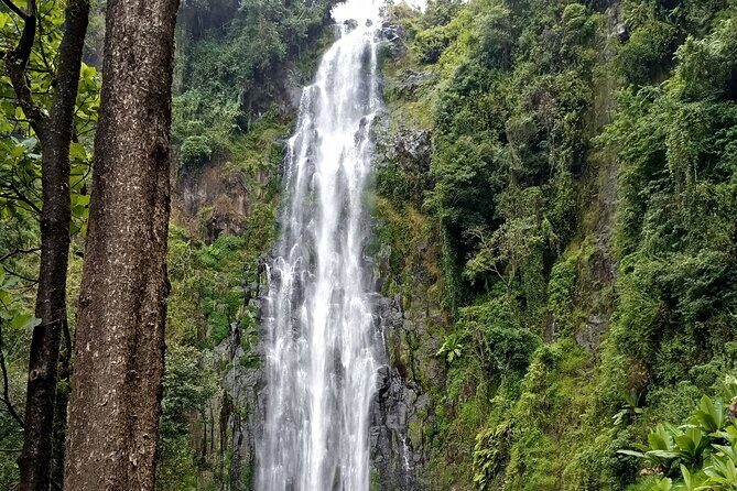 Private Tour to Materuni waterfalls, coffee tour & Kikuletwa hot- springs - Transport, Tickets, and the Value of a One-Price Day