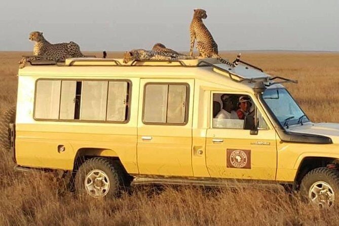 Safari in Tanzania 5 days: Manyara, Ngorongoro, Serengeti - Who this safari suits best (and who might want a different plan)