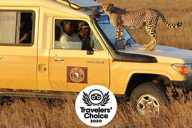 Safari in Tanzania 5 days: Manyara, Ngorongoro, Serengeti - Lake Manyara’s mix of habitats and birds: where the photos get messy (in a good way)