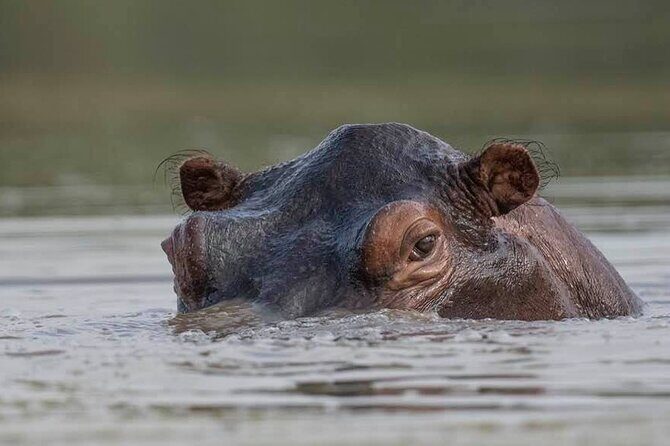 Safari Serengeti And Ngorongoro - Price and Logistics: Is $2,845 a Good Deal?