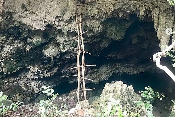 Salaam Cave Zanzibar (Turtles Santuary) - Where value shows up: included pickup, fees, and short duration