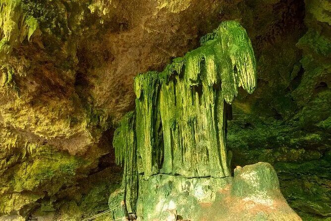 Salaam Cave Zanzibar (Turtles Santuary) - What’s included (and what you’ll pay separately)