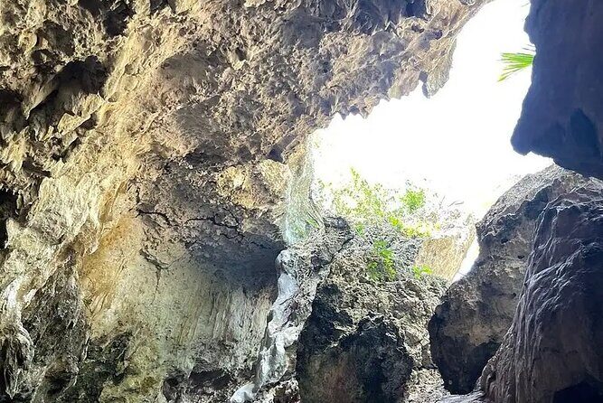 Salaam Cave Zanzibar (Turtles Santuary) - Pickup at 9:00am and how to plan your day