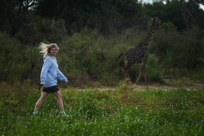 Selous Luxury Day Safari with Photographer - What the Timing Means for Your Wildlife Odds